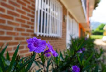 Casa las ruelias allows 18 year olds to book a room