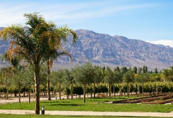 Buena Vista Hotel Boutique has Balcony rooms