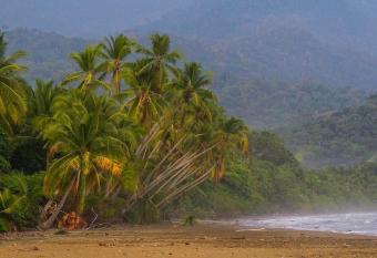 Lil Lost allows 18 year olds to book a room