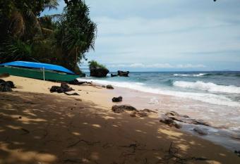Tori s Backpacker s Paradise has Balcony rooms