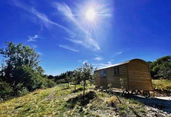 Robins Retreat - Shepherds Hut within orchard allows 18 year olds to book a room