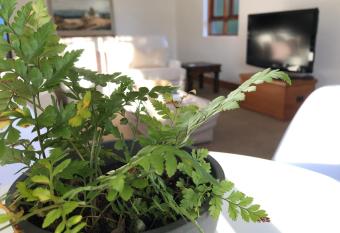 Studio@40: Stylish & modern 1 bedroom apartment. allows 18 year olds to book a room