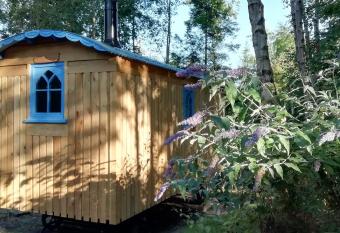 Sapphire forest garden shepherd   s hut allows 18 year olds to book a room