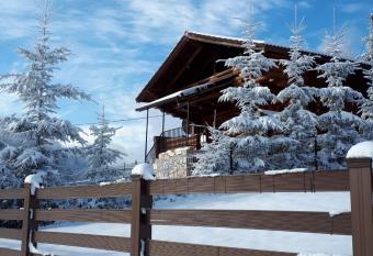 Cabana din Bu  teni has Balcony rooms