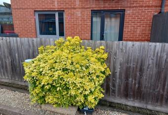 Remarkable 2-Bed Apartment in Wolverhampton has Balcony rooms