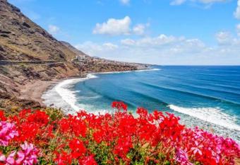 2 bedrooms appartement with sea view enclosed garden and wifi at BajamarB has Balcony rooms