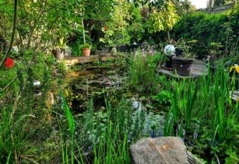 African Lodge im Pilgergl  ck allows 18 year olds to book a room
