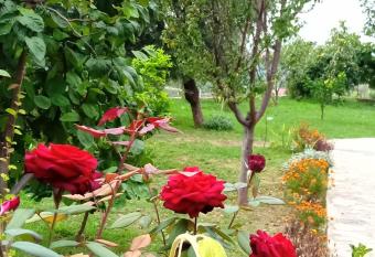 Meti Guest House allows 18 year olds to book a room