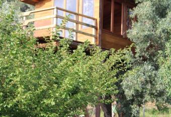 The Treehouse - Casa sull albero al Golden Camp has Balcony rooms