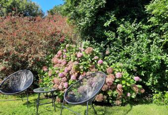 Modern Town House allows 18 year olds to book a room