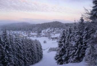 Style of Industry has Balcony rooms