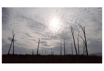 Kishkindha Villa 4BHK has Balcony rooms