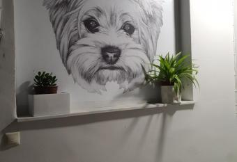 Larry s little place in the center of Gytheio has Balcony rooms