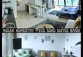 Evo Soho Studio Suites Bangi by Molek Homestay (City View) has Balcony rooms