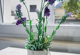 Apartmani Vanaris allows 18 year olds to book a room