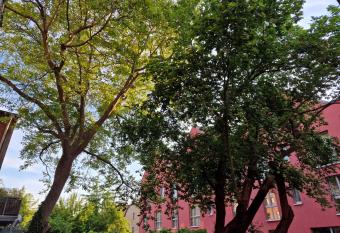 Ferien Monteur Wohnung m  bl. Appartement zentral has Balcony rooms