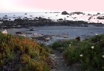 West End Historic - West End Historic @ #ElizabethPark allows 18 year olds to book a room