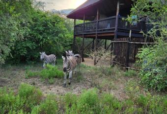 The Amare Cabin has Balcony rooms