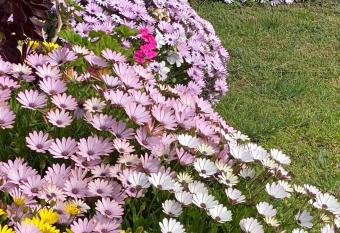 ENTIRE HOME IN WERRIBEE,BEST POSSIBLE LOCATION YOU CAN FIND has rooms with a private hot tub