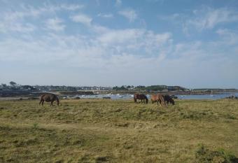 Studio 10 min    pied plage d Argenton allows 18 year olds to book a room