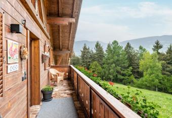 Wieshof Rustika has Balcony rooms