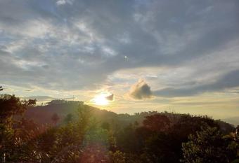 Hotel M  ma has Balcony rooms