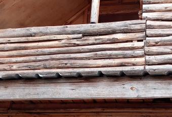 Kilimanjaro serene Homestay allows 18 year olds to book a room