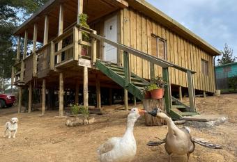 Caba  a los Gansos Laguna Verde Valparaiso has Balcony rooms