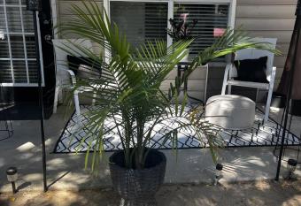 New Cozy 1 Califonia King Size Bed with Small sitting Area & Private Bathroom wit Private Entrance! With Free Parking outside Unit! 45 mins away from Airport! has Balcony rooms