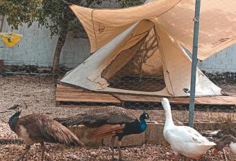Tipi/glamping apacible tranquilo con alberca y fauna allows 18 year olds to book a room