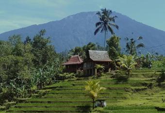 D Ume Bendoel Homestay has Balcony rooms