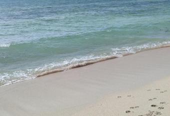 Vee s Villa has Balcony rooms