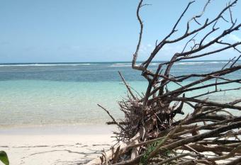 LOGEMENT AZUL    l ombre du bambou 1    3 pers, R  serve Cousteau allows 18 year olds to book a room