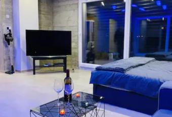 Luxury Loft Flat very close to    Messe-Basel    has Balcony rooms