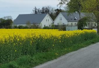 Birkelund BnB allows 18 year olds to book a room