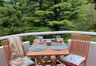 Stunning new apartment in centre of Buzet has Balcony rooms