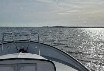 Virgo The Horrible Bee allows 18 year olds to book a room