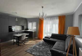 Tiberiu Ricci Apartament allows 18 year olds to book a room