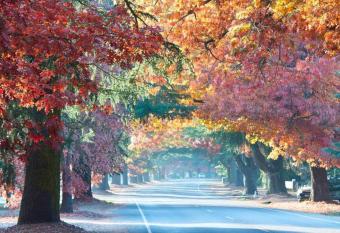 DELANY VILLAS BRIGHT - Spa luxury on Delany Avenue has rooms with a private hot tub