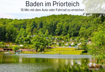 HaFe Ferienwohnung Bad Sachsa - waldnah, hundefreundlich, Smart Home Ausstattung has Balcony rooms