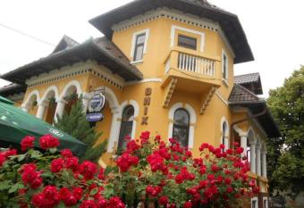 Pensiunea Onix has Balcony rooms