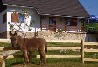 Apartment Goran has Balcony rooms
