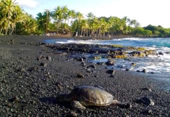 Pahoehoe- Hale Kumu La au at Volcano has rooms with a private hot tub