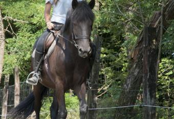 Agriturismo Jesson Rosamund has Balcony rooms