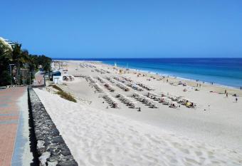 Apartments Palm Garden has Balcony rooms