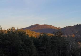 Bearfootin' on the Hillside Presented by Spirit Homes USA has Balcony rooms