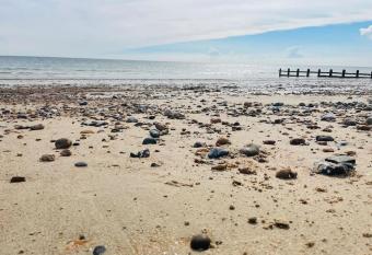 Stone   s Throw, 1 bed self-contained studio allows 18 year olds to book a room