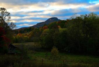 Misty Creek has Balcony rooms