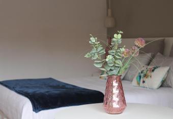 Altos de Baiona - Habitaci  n privada allows 18 year olds to book a room