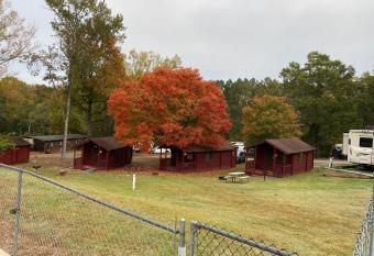 Homely Poolside Cabin has Balcony rooms